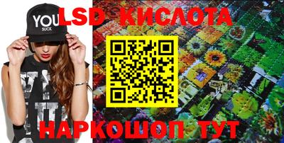 spice Берёзовский