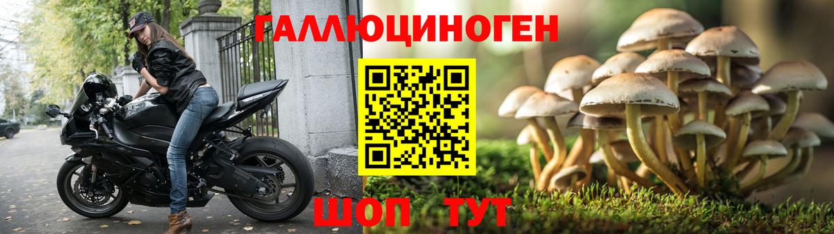 Галлюциногенные грибы ЛСД Екатеринбург