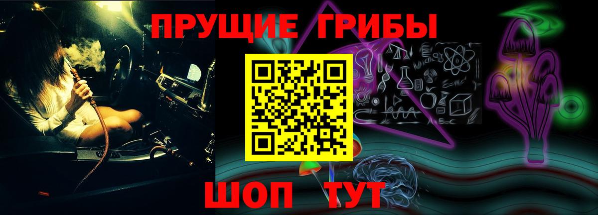 Галлюциногенные грибы Magic Shrooms  Псилоцибиновые грибы GOLDEN TEACHER  закладка  Екатеринбург 
